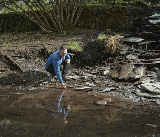 Salamanderteich im Kaulenbachtal, © Schieferland Kaisersesch, Marco Rothbrust