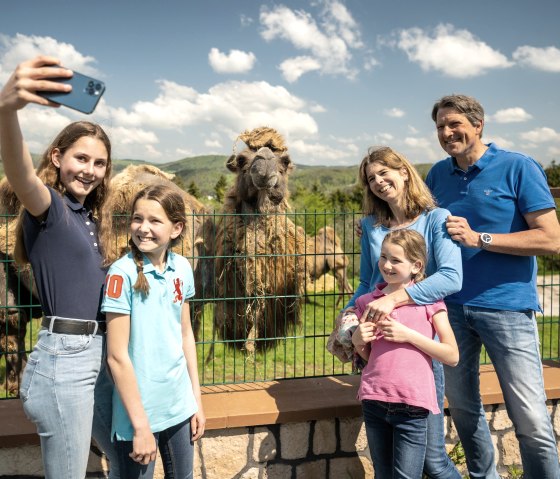 Selfie mit tierischem Lächeln, © Eifel Tourismus GmbH, Dominik Ketz