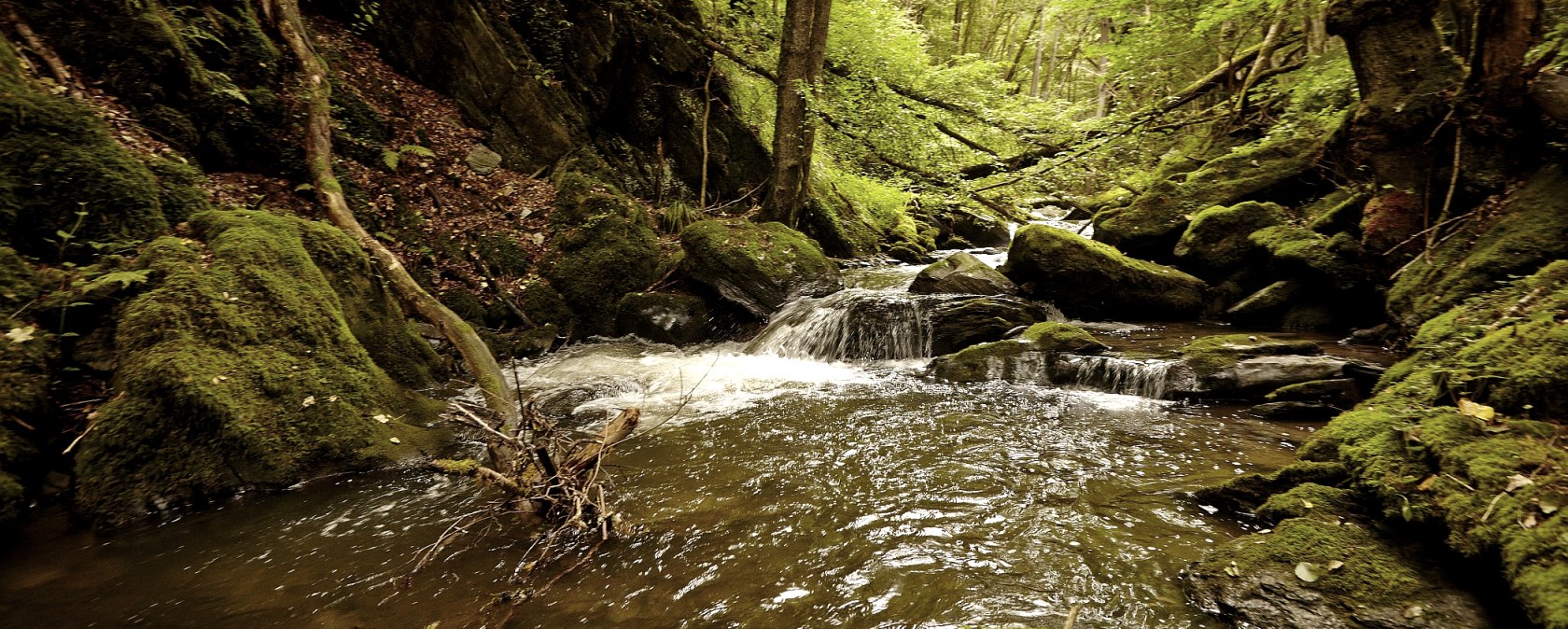 Bäche, Höhen und weite Felder im Schieferland Kaisersesch, © Christoph Gerhartz