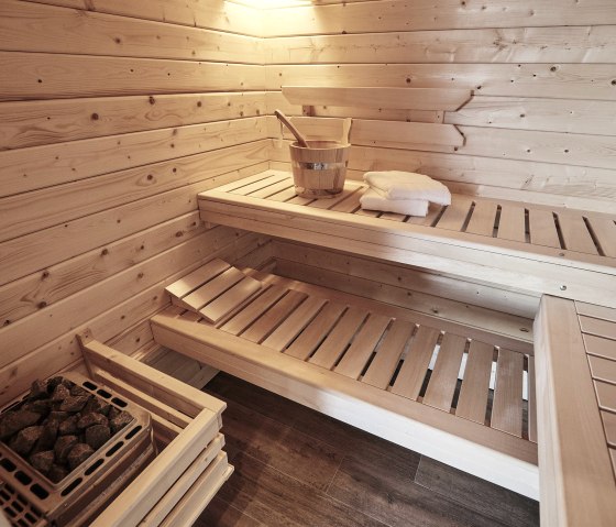 Sauna im Poolhaus, © Eifelia Ferienhaus