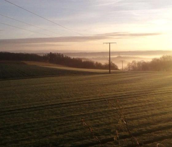 Aussicht Roes, © Reit-und Ferienanlage Pyrmonter Hof