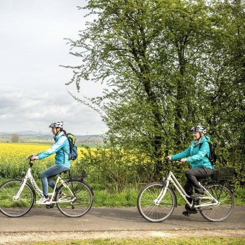 Blühender Raps begleitet die Radfahrer auf dem Maifeld-Radwanderweg, © Eifel Tourismus GmbH, Dominik Ketz