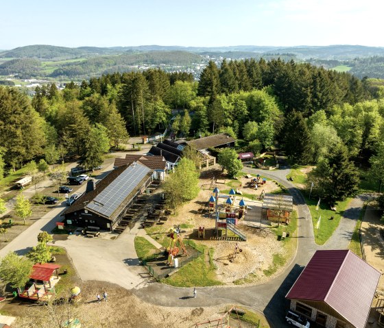 Wild- und Erlebnispark Daun, mitten in Eifel-Natur, © Eifel Tourismus GmbH, Dominik Ketz