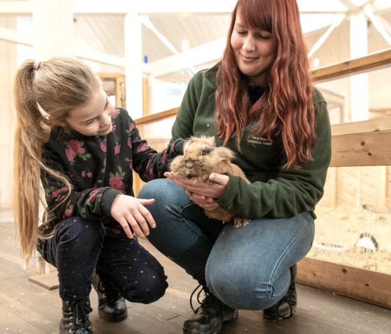 Tiere streicheln im Wild- und Erlebnispark Daun, © Eifel Tourismus GmbH, D. Ketz