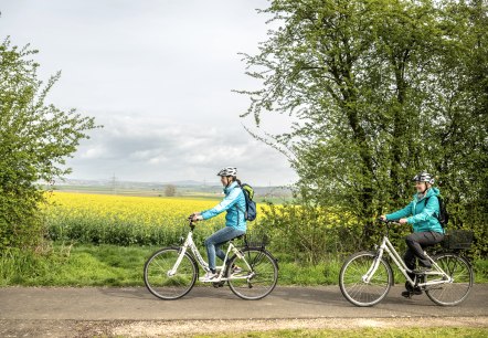 Blühender Raps begleitet die Radfahrer auf dem Maifeld-Radwanderweg, © Eifel Tourismus GmbH, Dominik Ketz