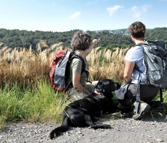 Wandern auf dem Steinbach Rundweg Masburg, © Schieferland Kaisersesch, Christoph Gerhartz