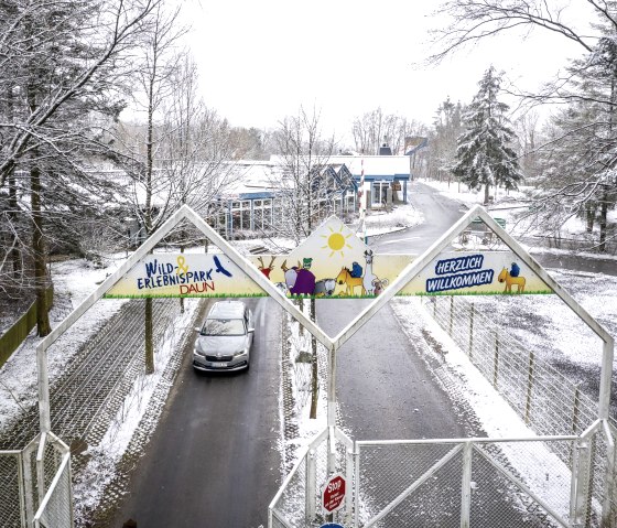 Mit dem Auto durch den Wild- und Erlebnispark Daun, © Eifel Tourismus GmbH, D. Ketz