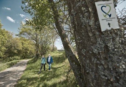 Wanderung entlang des Steinbach Rundweg Masburg, © Schieferland Kaisersesch, Marco Rothbrust