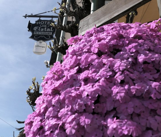 Gasthaus zum Elztal, © Gasthaus zum Elztal