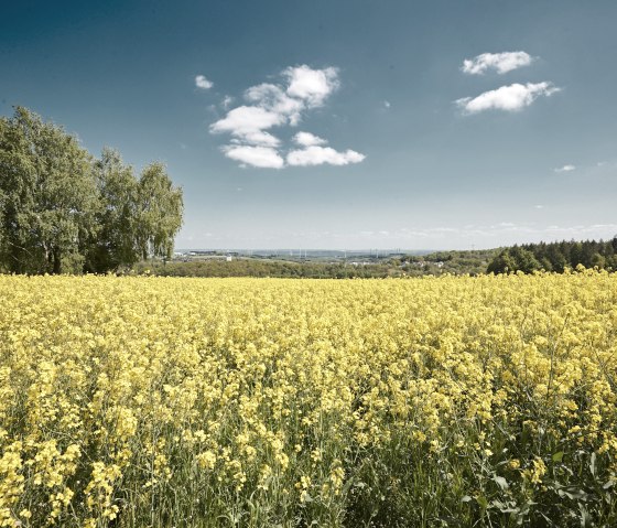 Weitblicke genießen, © Schieferland Kaisersesch, Marco Rothbrust