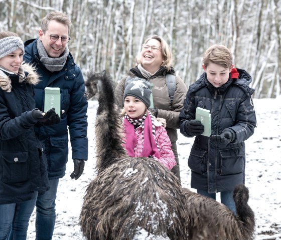 Tiere füttern im Wild- und Erlebnispark Daun, © Eifel Tourismus GmbH, D. Ketz