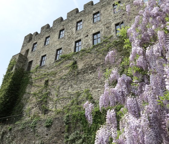 Burg aus einer anderen Perspektive, © Schieferland Kaisersesch