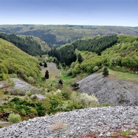 Einzigartiger Blick auf das Kaulenbachtal