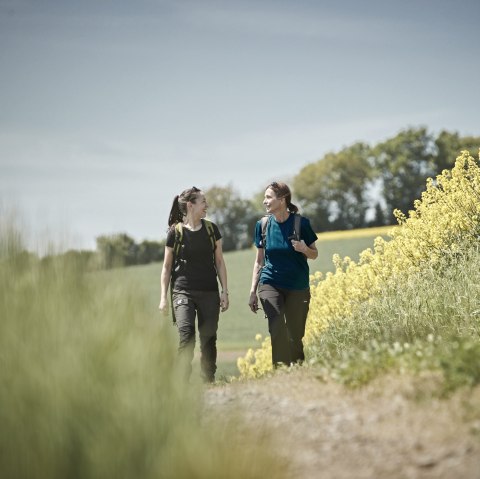 Steinbach Rundweg Masburg, © Schieferland Kaisersesch, Marco Rothbrust