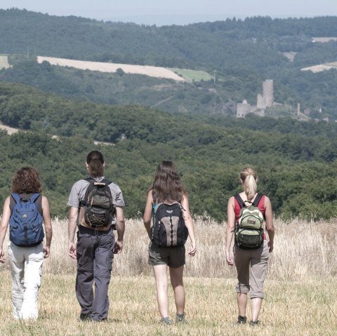 Aussicht auf die Burgruine Monreal, © Traumpfade/Kappest