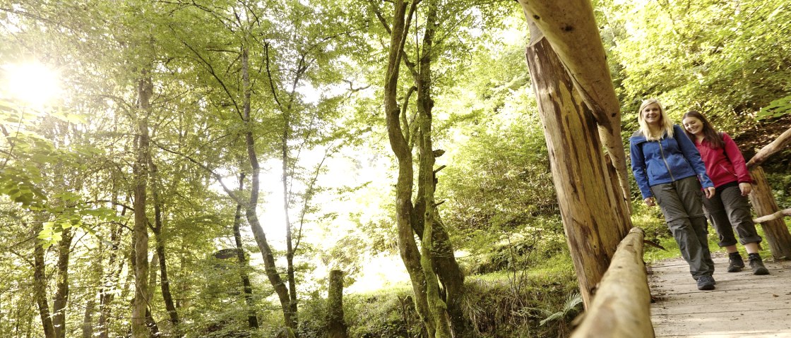 Wandern im Schieferland Kaisersesch - vielfältig und erlebnisreich, © Marco Rothbrust