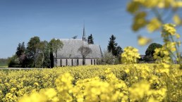 Schwanenkirche im Rapsfeld, © Schieferland Kaisersesch, Christoph Gerhartz