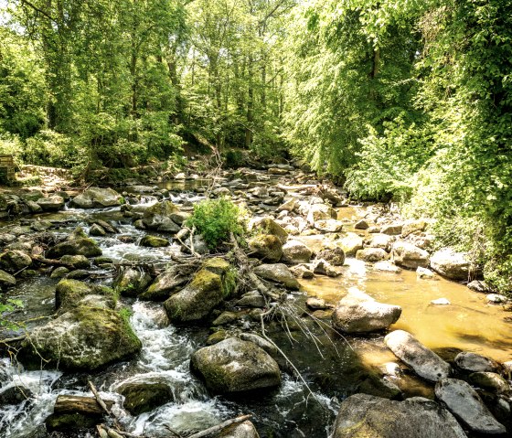 Vulkanpark-Radweg, Rauscherpark, © Eifel Tourismus GmbH, Dominik Ketz