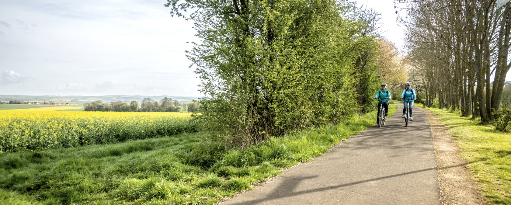 Auf dem Maifeld-Radwanderweg entlang von blühenden Rapsfeldern, © Eifel Tourismus GmbH, Dominik Ketz