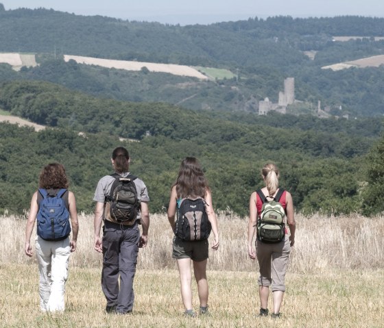 Aussicht auf die Burgruine Monreal, © Traumpfade/Kappest