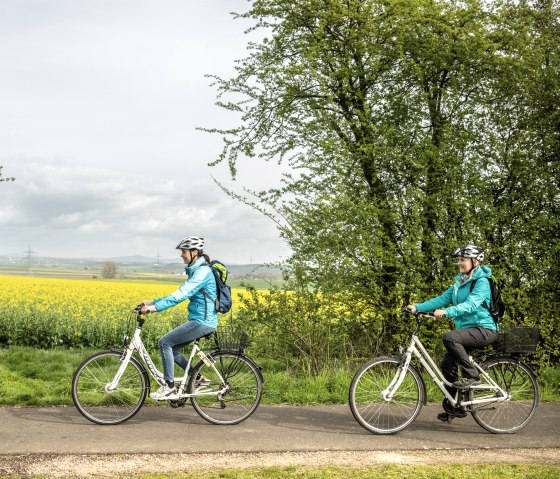 Blühender Raps begleitet die Radfahrer auf dem Maifeld-Radwanderweg, © Eifel Tourismus GmbH, Dominik Ketz