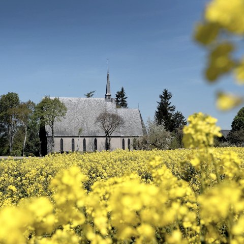 Schwanenkirche im Rapsfeld, © Schieferland Kaisersesch, Christoph Gerhartz