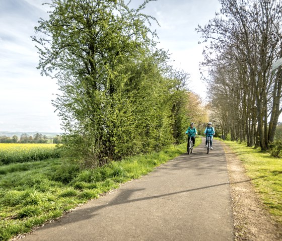 Auf dem Maifeld-Radwanderweg entlang von blühenden Rapsfeldern, © Eifel Tourismus GmbH, Dominik Ketz