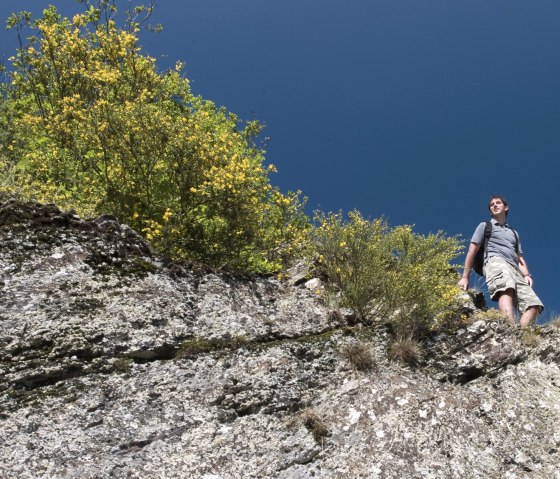 Der Felsenweg auf dem Pyrmonter Felsensteig, © Traumpfade/Kappest